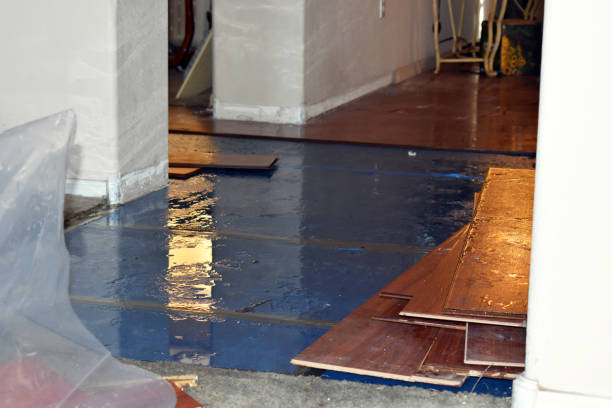 Professional Water Damage Restoration technician working in Magee, MS